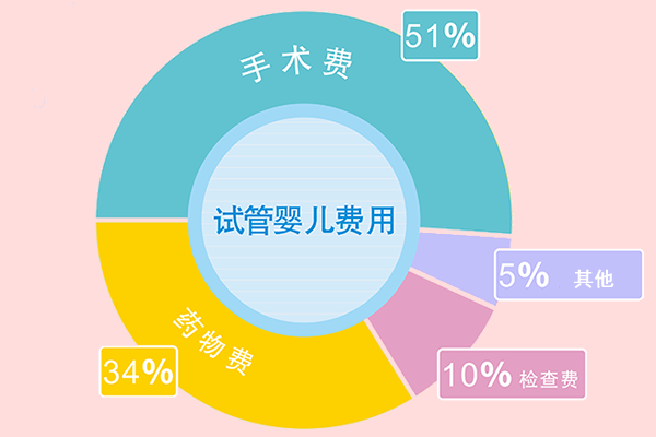 2024年在国内去俄罗斯做试管婴儿大概需要花费多少钱