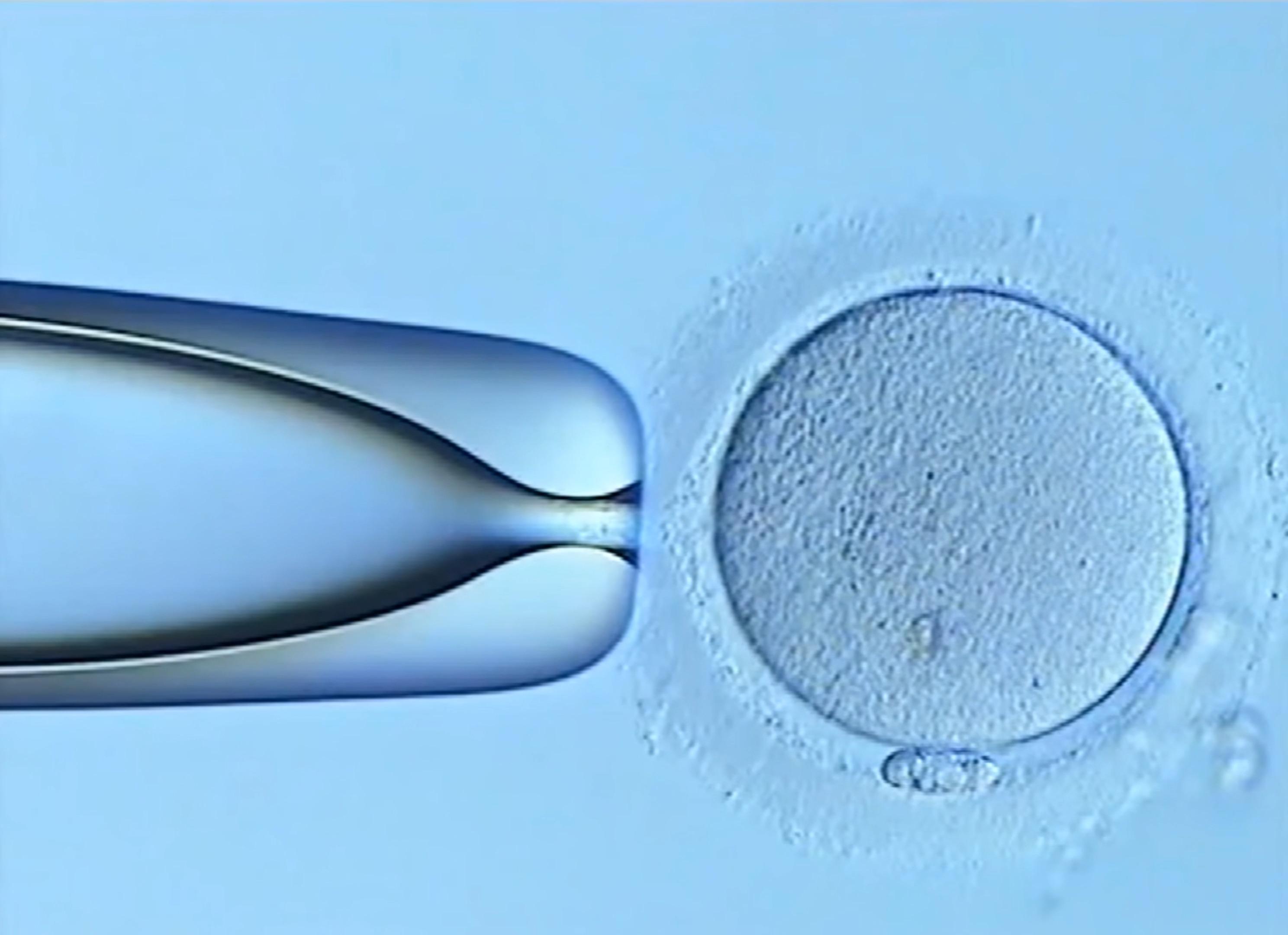 揭秘，2024深圳三代试管包生男孩价格费用分享