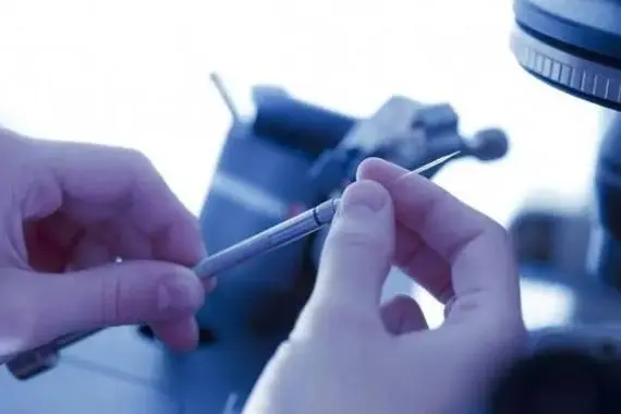 揭秘，2024深圳三代试管包生男孩价格费用分享