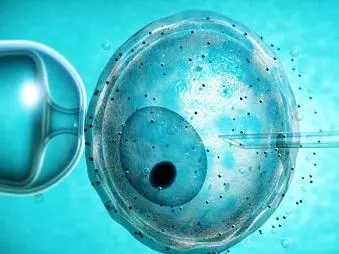 广州哪个医院做试管婴儿是可以包成功的