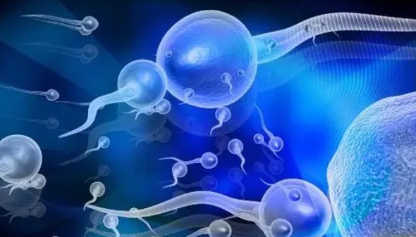 郑州做试管比较好的不孕不育医院有哪些？内附三代试管包生男孩费用介绍