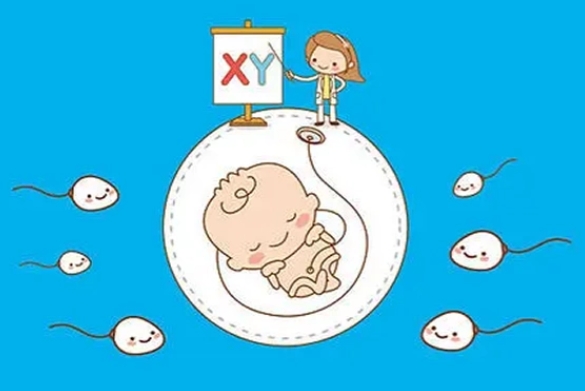 广州哪个医院做试管婴儿可以包成功的，三代多少钱？