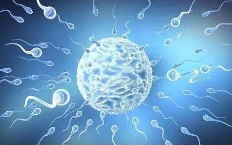 在广州私人机构做三代试管包生男孩价格一般多少钱？