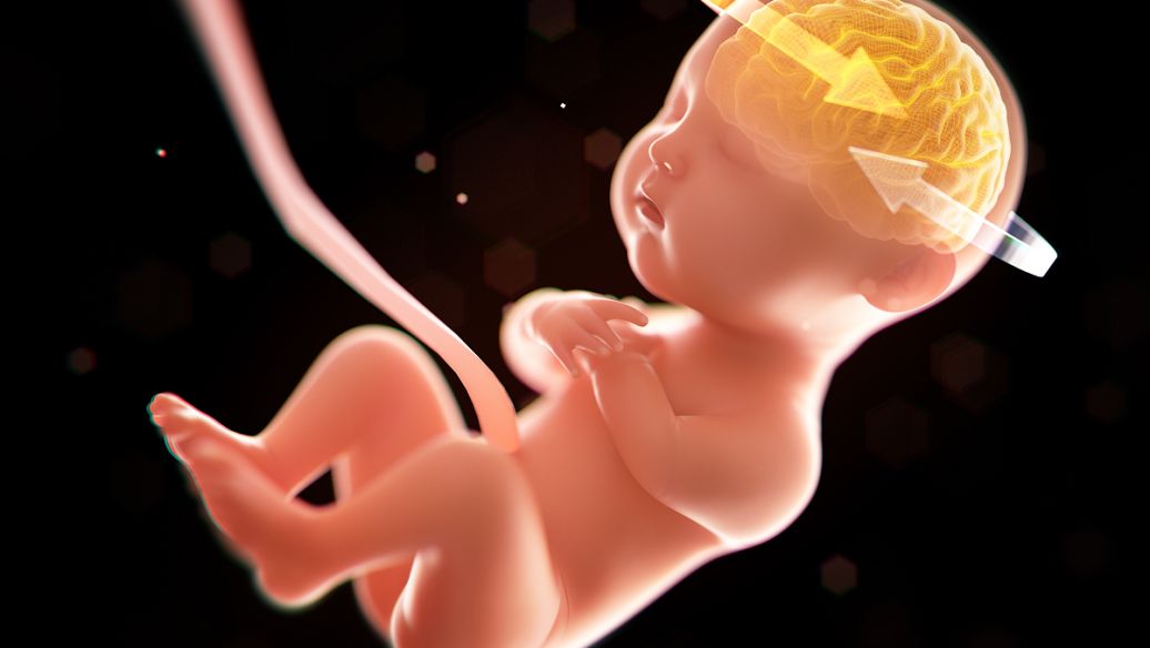 拉拉在深圳做三代试管婴儿要花多少钱? 拉拉在深圳做三代试管婴儿要花多少钱?