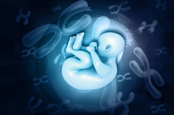 高龄夫妇在深圳做供卵三代试管成功率高吗？