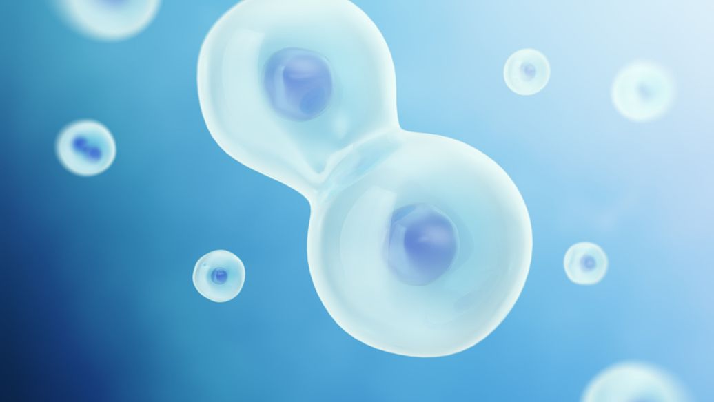 2026年广州生殖科医院排名第一的是哪家？