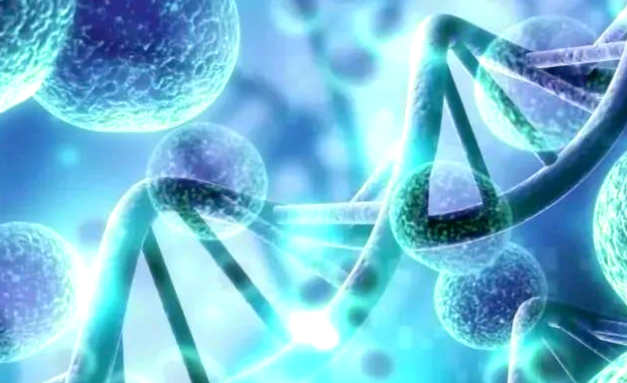 在济南做三代试管婴儿选哪家医院比较好?内附收费一览表介绍 在济南做三代试管婴儿选哪家医院比较好?内附收费一览表介绍