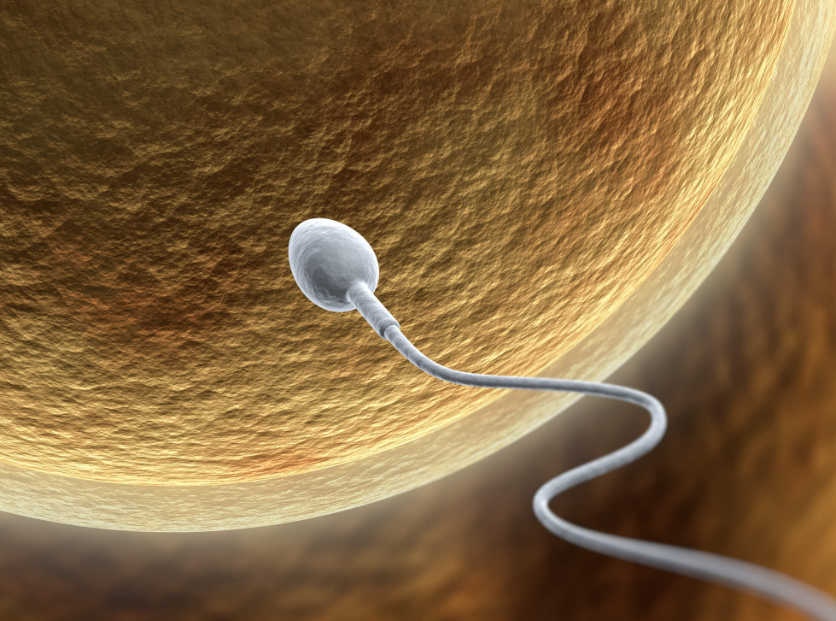 上海做三代试管生孩子哪个医院好？建议优选这几家