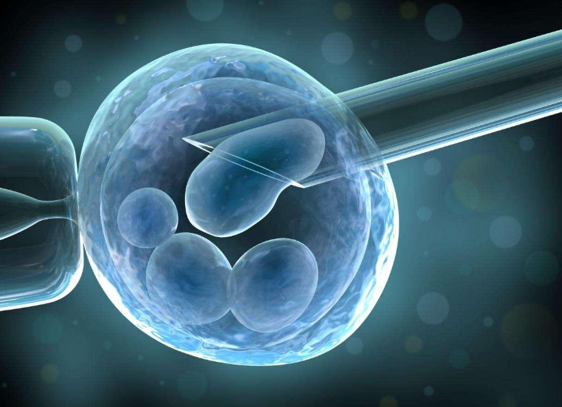 2026正规不孕不育医院排行榜前十名单出炉（四川有医院上榜）