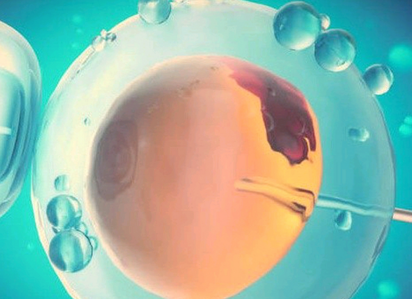 浙江杭州试管医院排名一览表（成功率+费用一次性讲清楚）