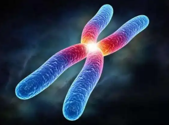 2026人工授精最好的医院前十名(北上广深都有上榜) 2026人工授精最好的医院前十名(北上广深都有上榜)