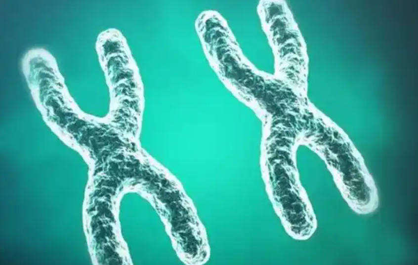 高龄在深圳做供卵三代试管婴儿可以包成功吗？