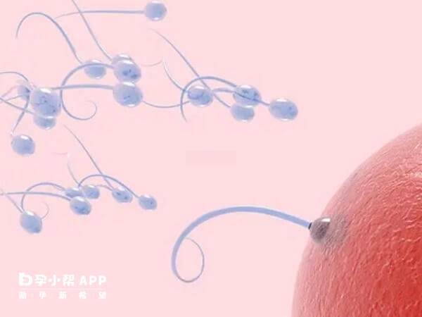 中国不孕不育发病率逐年增长