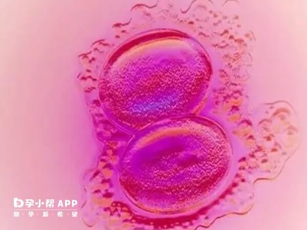 四级胚胎本身质量较差