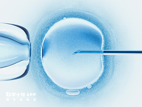 泰国试管婴儿与美国试管婴儿各有优势