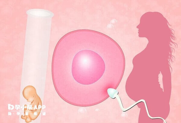 香港人工授精费用