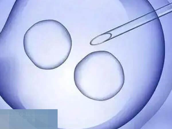 国内不能做HIV试管婴儿