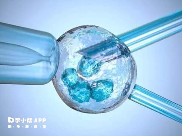 丽申宝有促排卵的作用