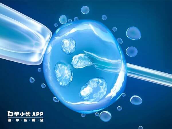 四地试管技术仍在研究中