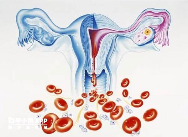 停经是受孕成功的标志之一