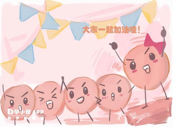 丽申宝一般促6-8个卵泡发育成熟