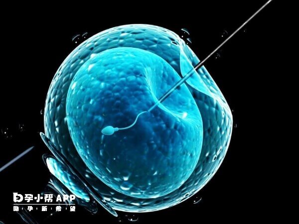 四代试管适应高龄妇女