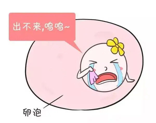 卵泡长到32mm不破是排卵障碍