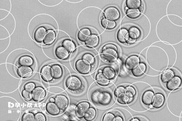先兆流产会引起移植后流血