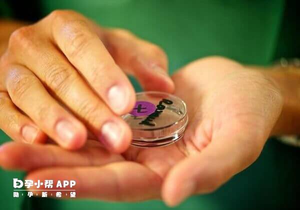 第四代试管婴儿技术