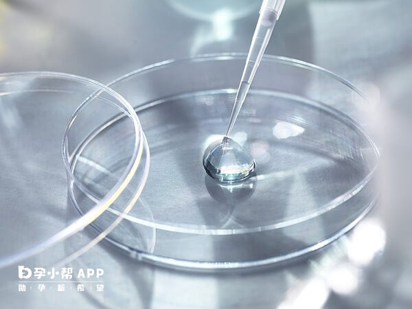 B超无法提前判断卵泡是否为空卵泡