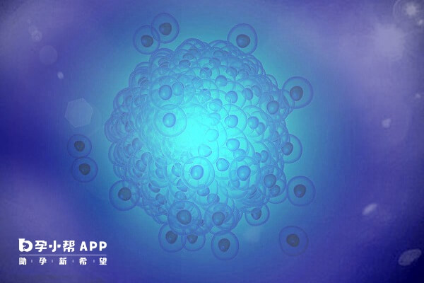 激光辅助孵化是指通过使用激光技术