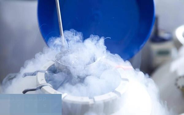 一次冻精可做2-3次试管