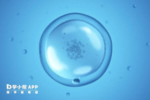 6c2胚胎是优质的