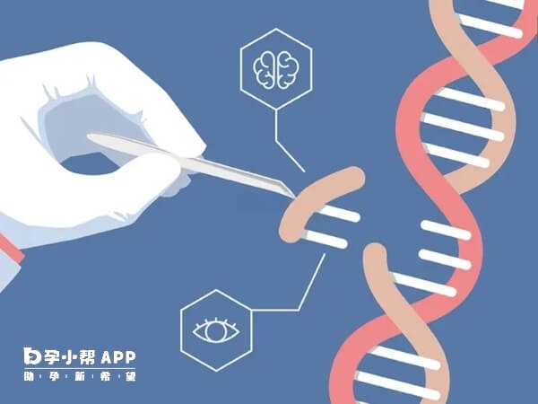 地贫基因携带者建议做三代试管婴儿