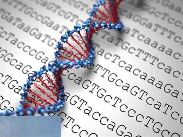 染色体异常是流产的重要原因