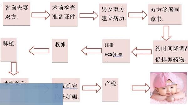 乌克兰试管婴儿流程