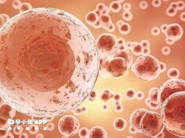 35岁以下卵巢功能相对较好