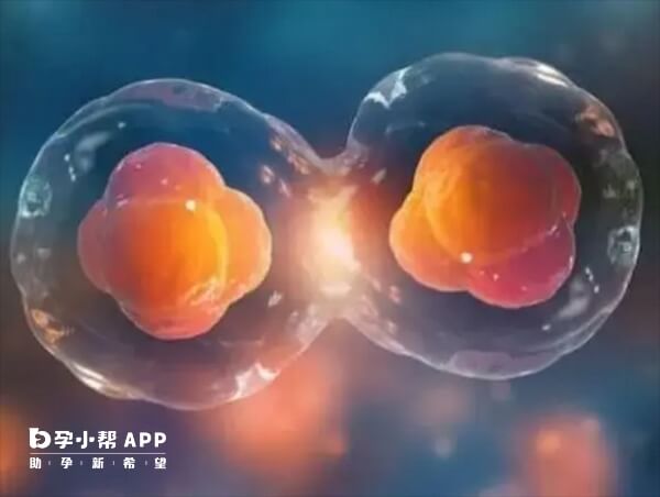 通过三代试管可以怀双胎