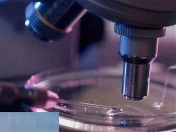 湘雅医院试管成功率大概在55%-60%左右