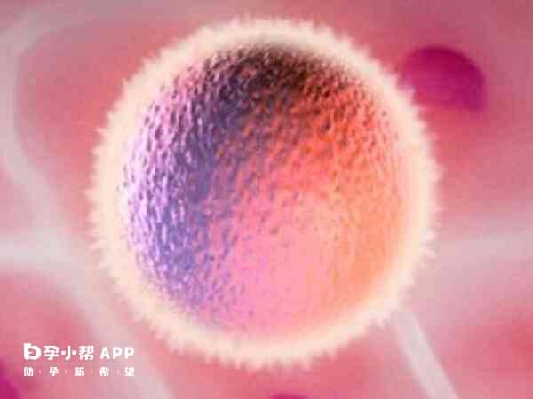 进行了清宫手术要休息3-6个月