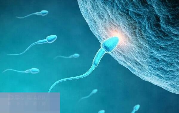 做供卵试管是需要排队的