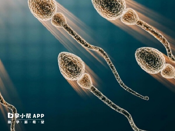 输精管缺如分为单侧和双侧缺如