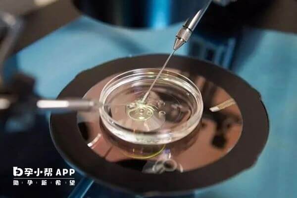 微刺激鲜胚移植着床率较冻胚移植高15%