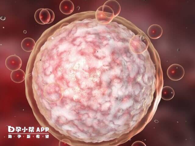 卵泡数量与雌二醇水平匹配是正常的
