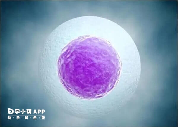 无排卵不孕者可用乐宝得促排