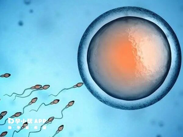 试管婴儿cos方案有很多类型