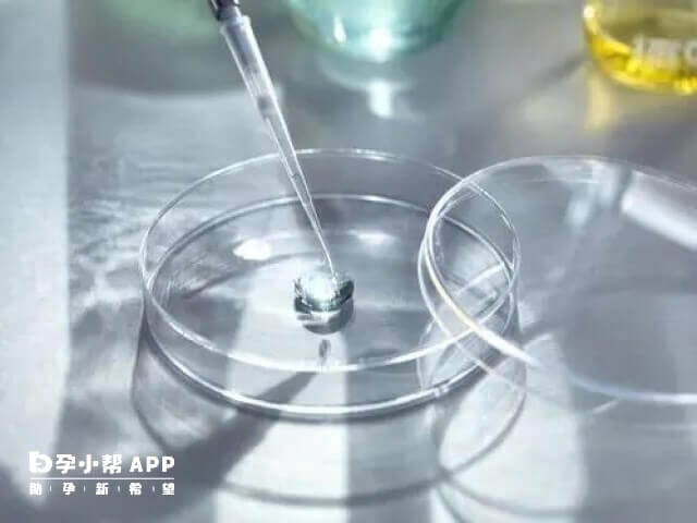 国内不允许试管选择胎儿的性别