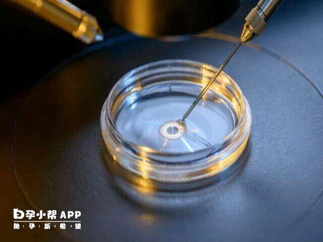 服务对象须同时符合4个条件