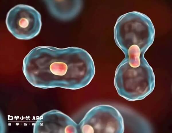 神经母细胞瘤对生殖系统的直接影响相对较小