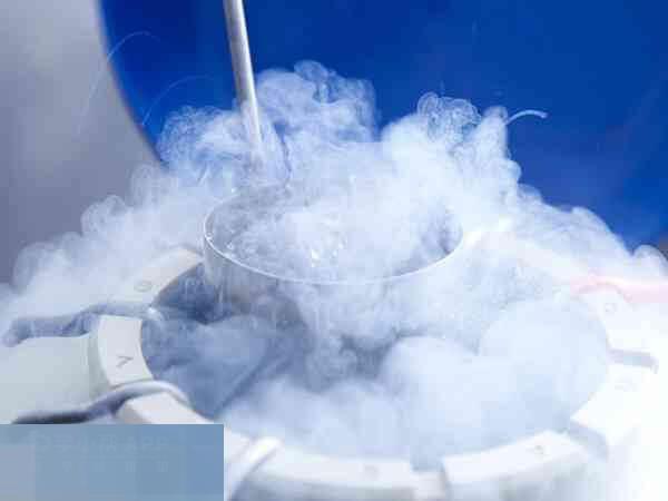 解冻后移植成功率还是很高的